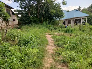 Kiwanja Kizuri Sana Kinauzwa Milioni 3.5 Njia Ya Goba Mtaa Wa Muhimbil