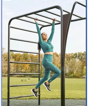 Outdoor Calisthenics / Monkey Bar Station