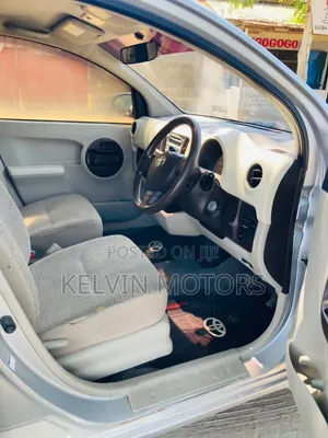 Toyota Passo 2010 Silver