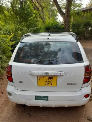 Toyota Voltz 2006 White