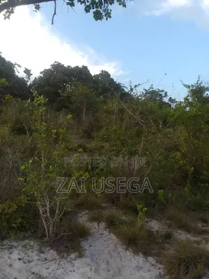 Shamba Kiwangwa Bagamoyo Linauzwa
