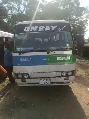 Mitsubishi Fuso Rosa 2008 White