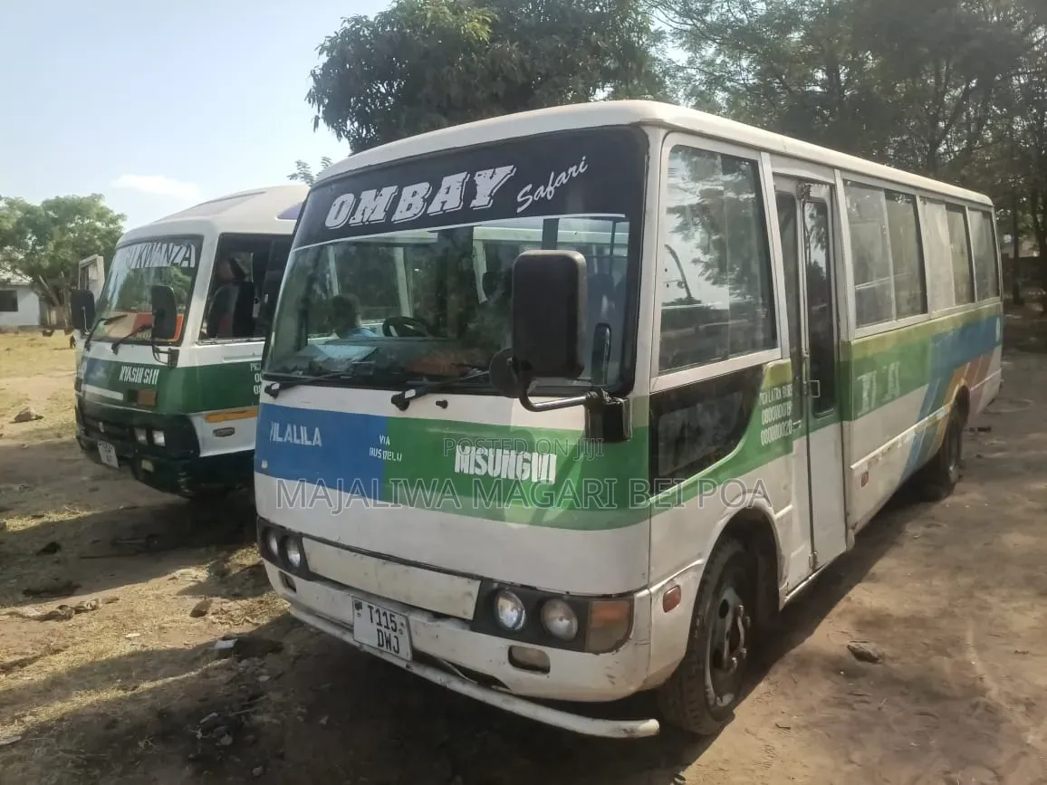 Mitsubishi Fuso Rosa 2008 White