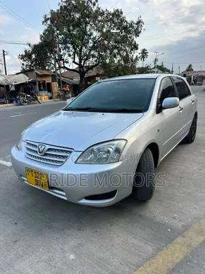Toyota Allex 2005 Silver