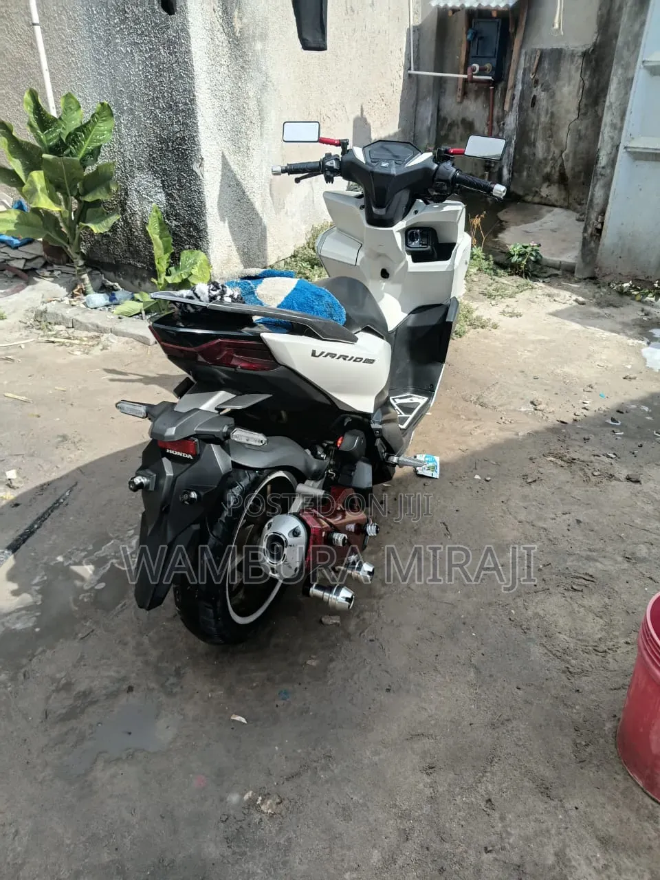 Honda 2025 White