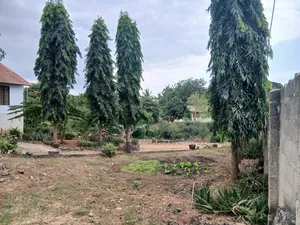 3bdrm House in Mcharo Homes Tz, Mbezi Beach for sale