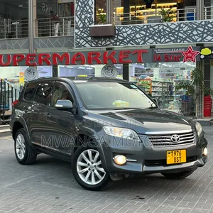 Toyota Vanguard 2010 Gray