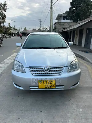 Toyota Allex 2005 Silver