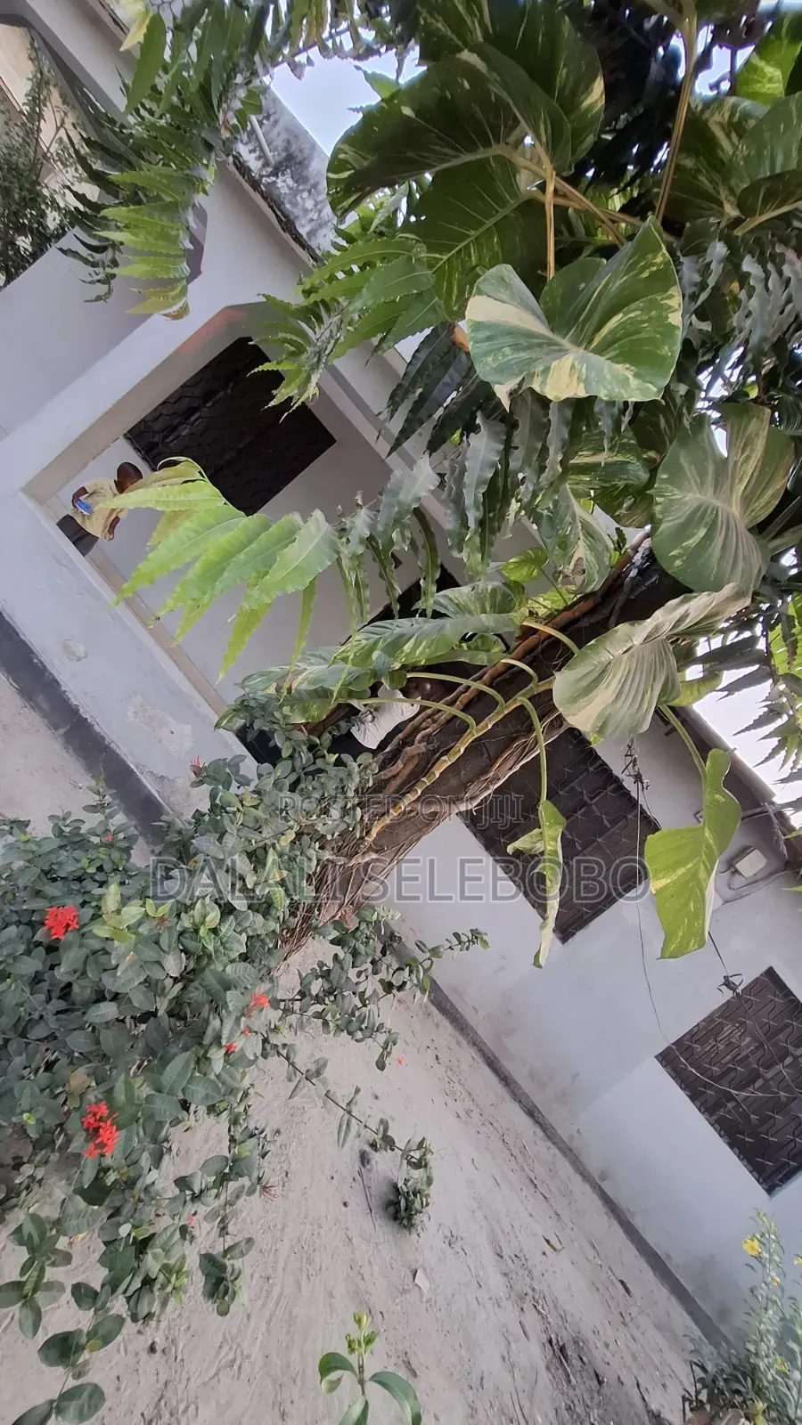 2bdrm Bungalow in Sinza Legho for rent