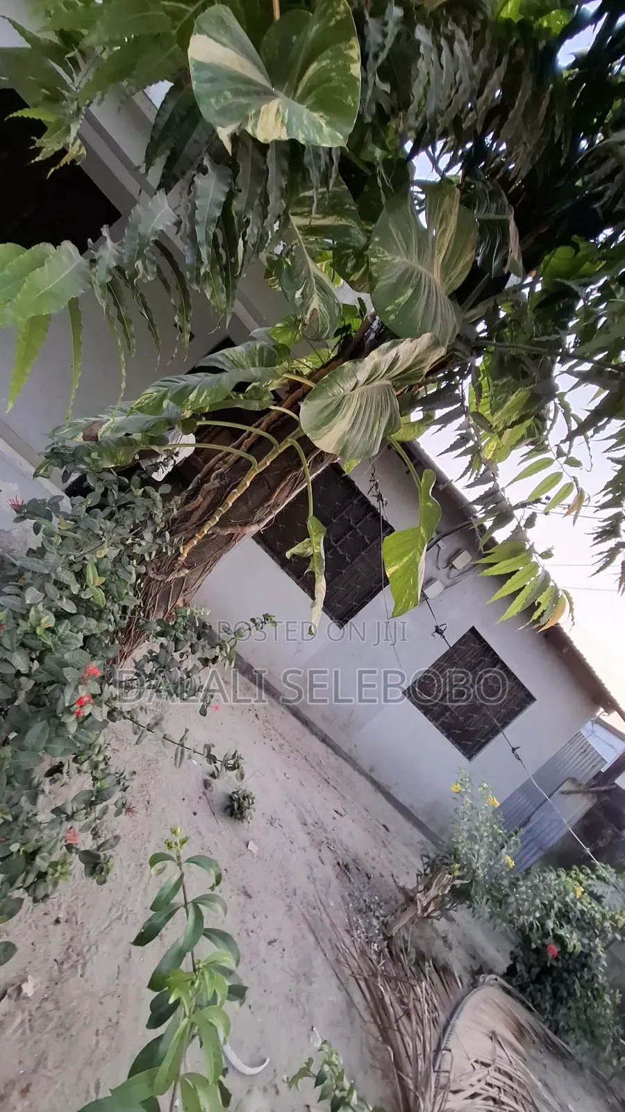 2bdrm Bungalow in Sinza Legho for rent