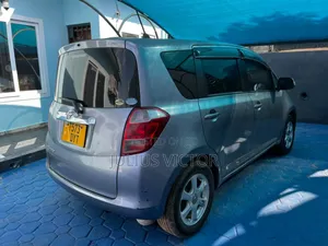Toyota Ractis 2007 Gray