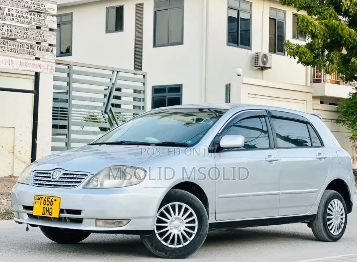 Toyota Corolla RunX 2002 Silver