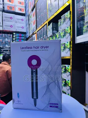 Professional Leafless Hairdryer