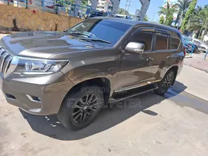 Toyota Land Cruiser Prado 2019 Gray