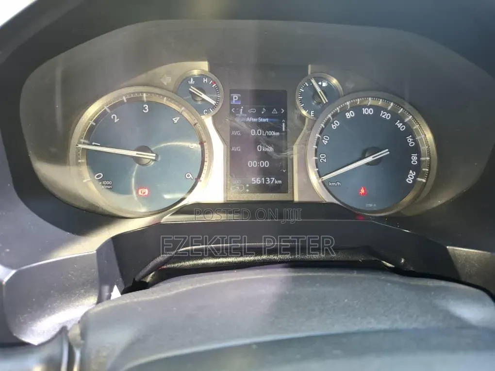 Toyota Land Cruiser Prado 2019 Gray