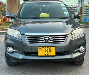 Toyota Vanguard 2010 Gray