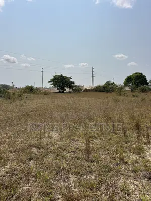 3 Acres Industrial Land for Sale - Kigamboni Vumilia
