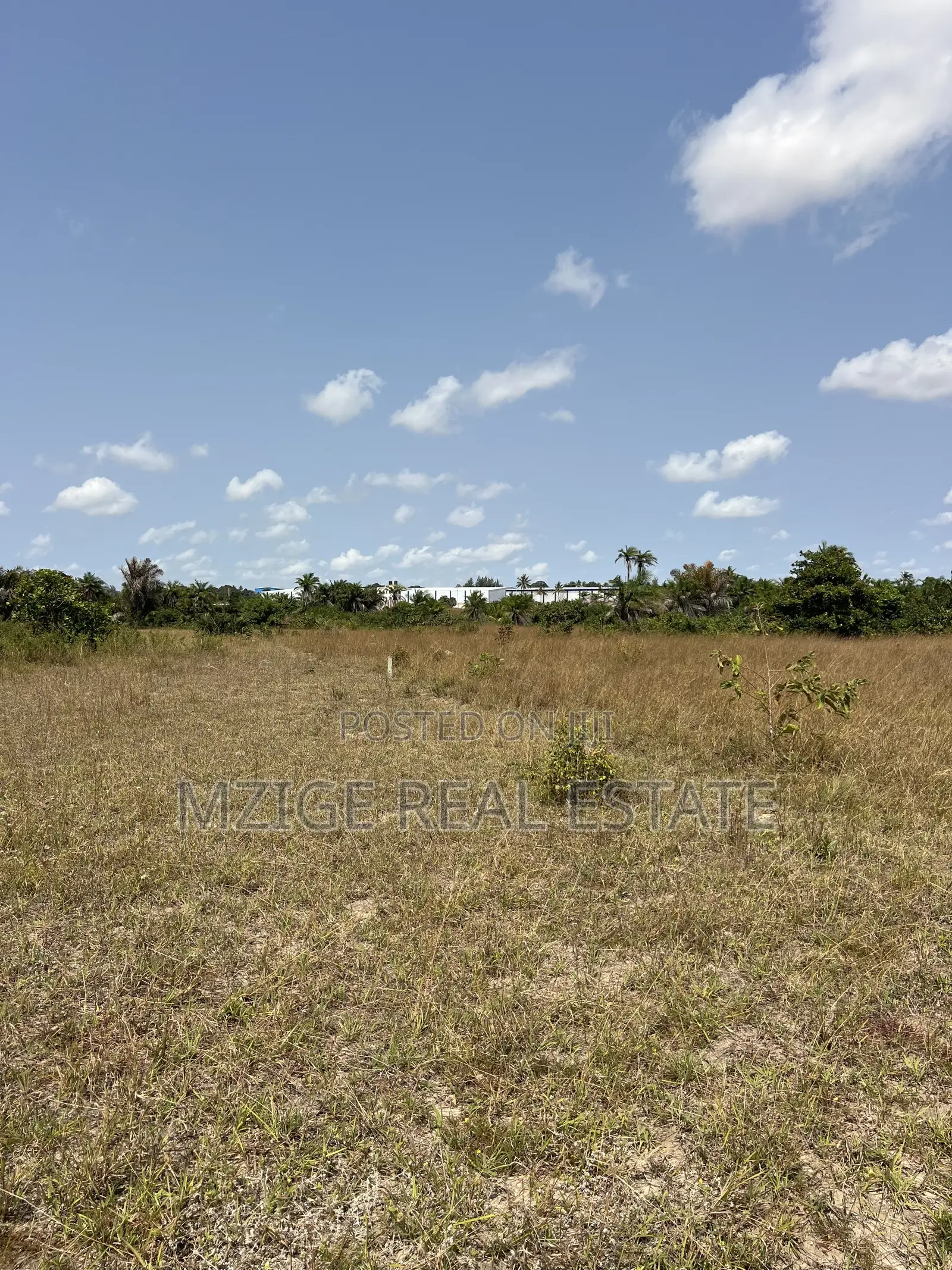3 Acres Industrial Land for Sale - Kigamboni Vumilia