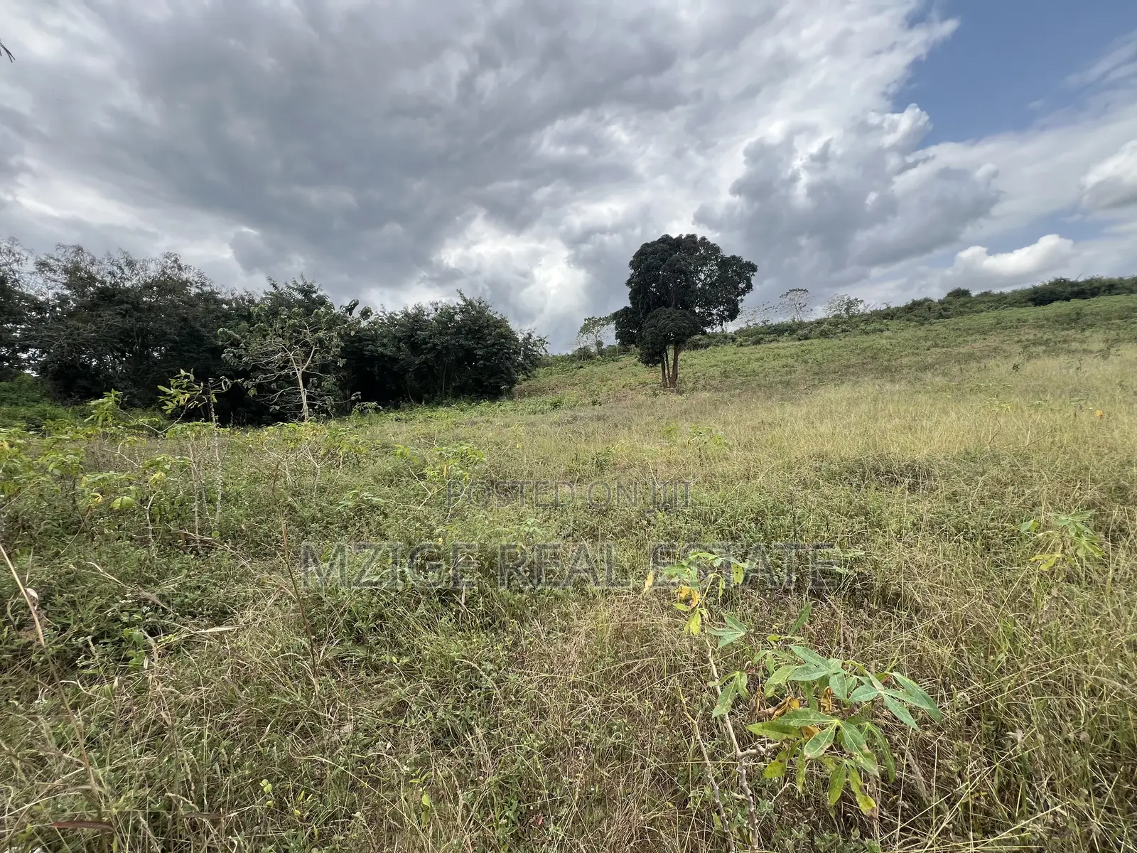 10 Acre Industrial Plot Touching Tarmac for Sale - Mpuyani, Kisarawe
