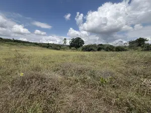 10 Acre Industrial Plot Touching Tarmac for Sale - Mpuyani, Kisarawe