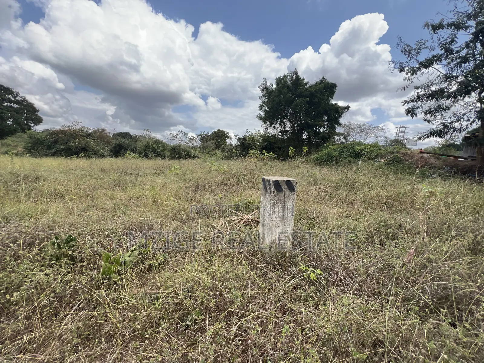 10 Acre Industrial Plot Touching Tarmac for Sale - Mpuyani, Kisarawe