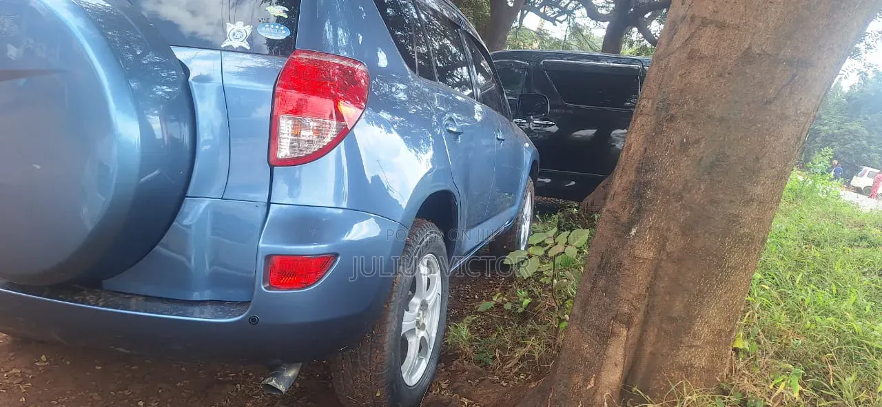 Toyota RAV4 2007 Blue