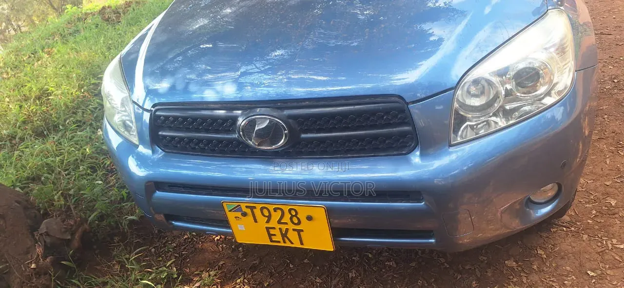 Toyota RAV4 2007 Blue
