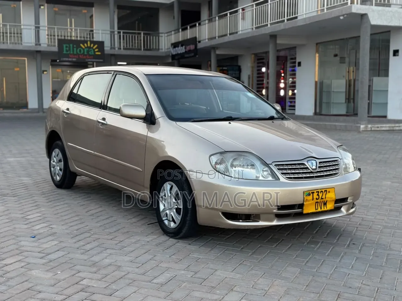Toyota Allex 2005 Gold