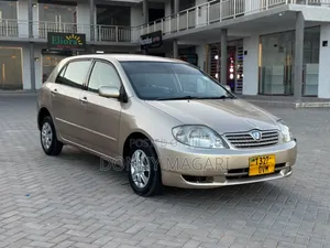Toyota Allex 2005 Gold