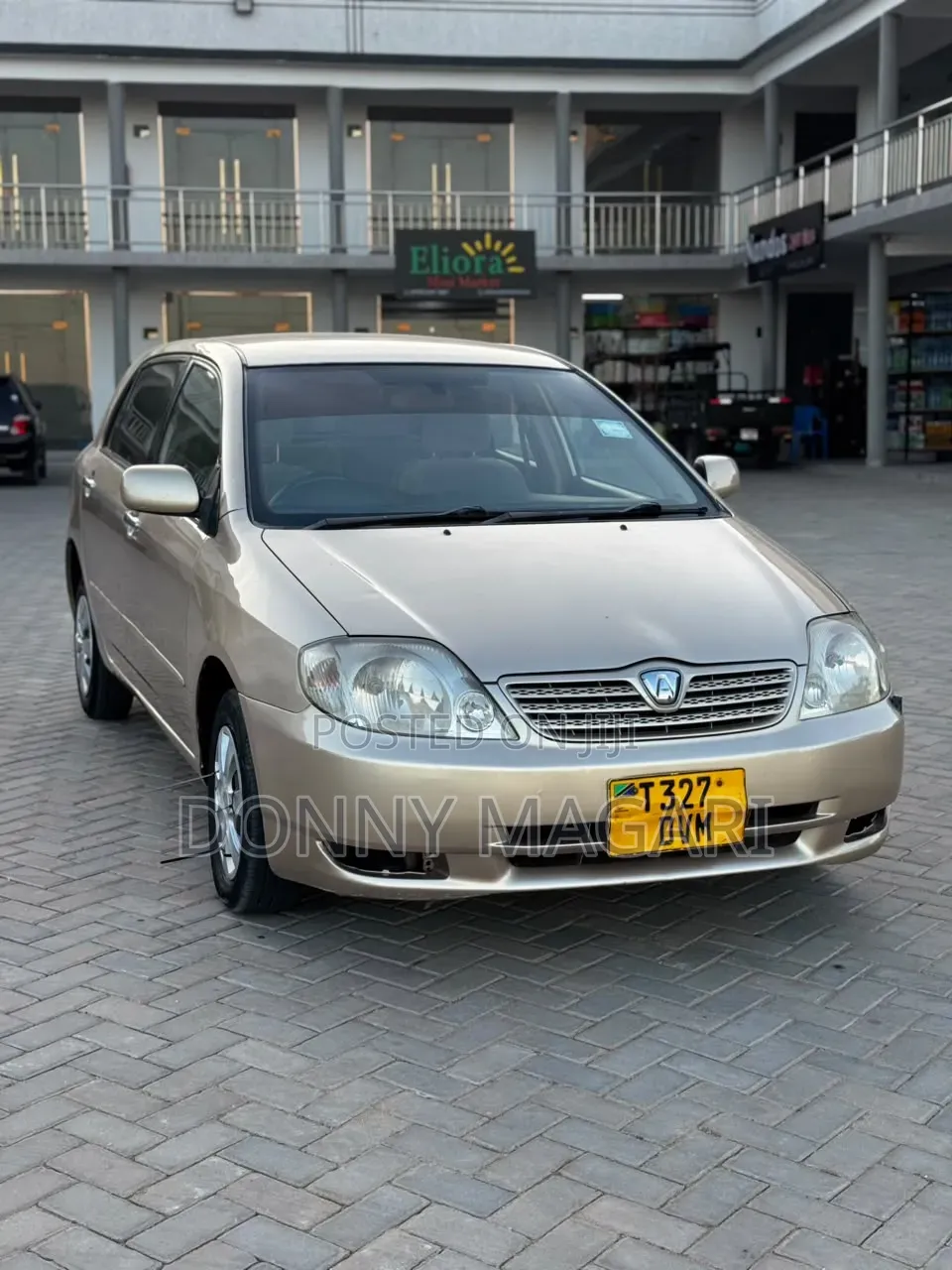Toyota Allex 2005 Gold