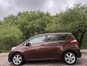 Toyota Ractis 2011 Brown