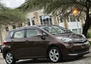 Toyota Ractis 2011 Brown