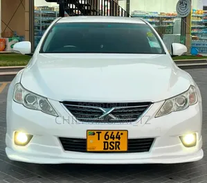 Toyota Mark X 2012 Pearl