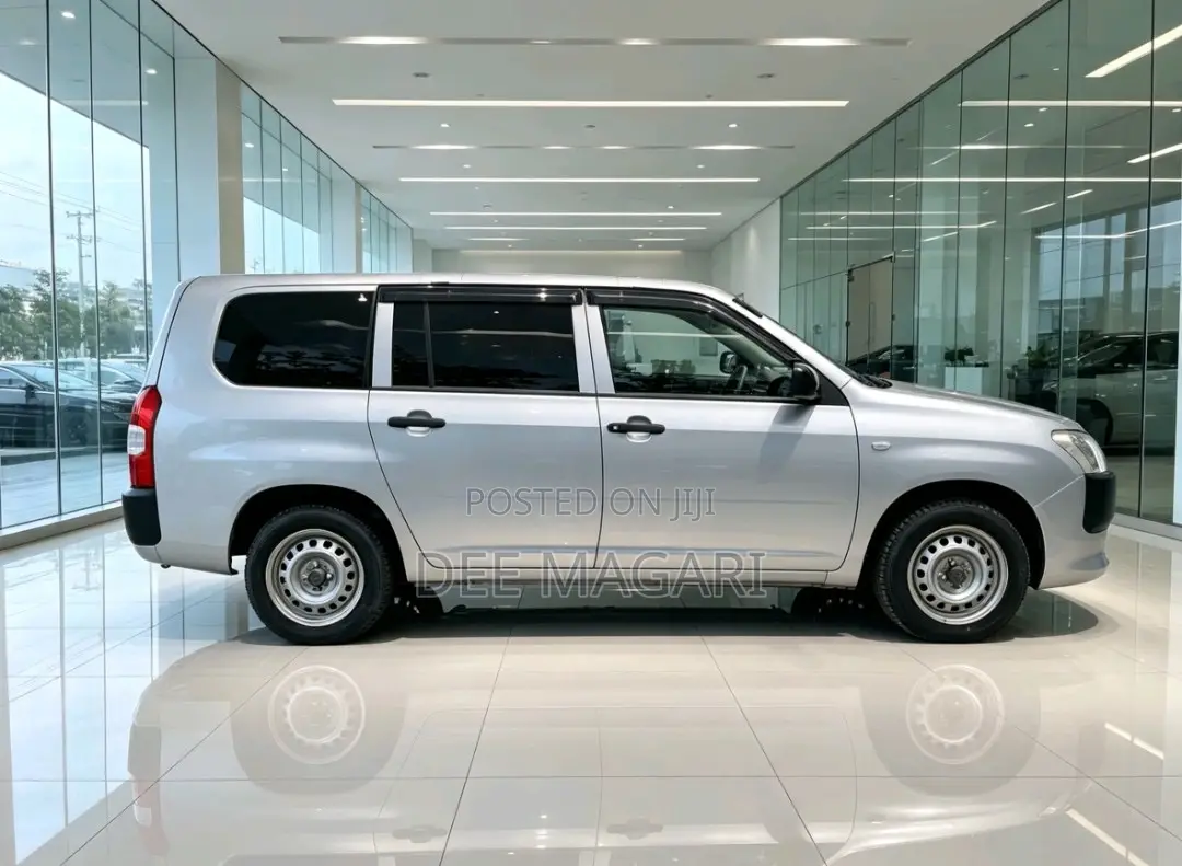 Toyota Probox 2015 Silver