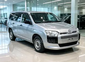 Toyota Probox 2015 Silver