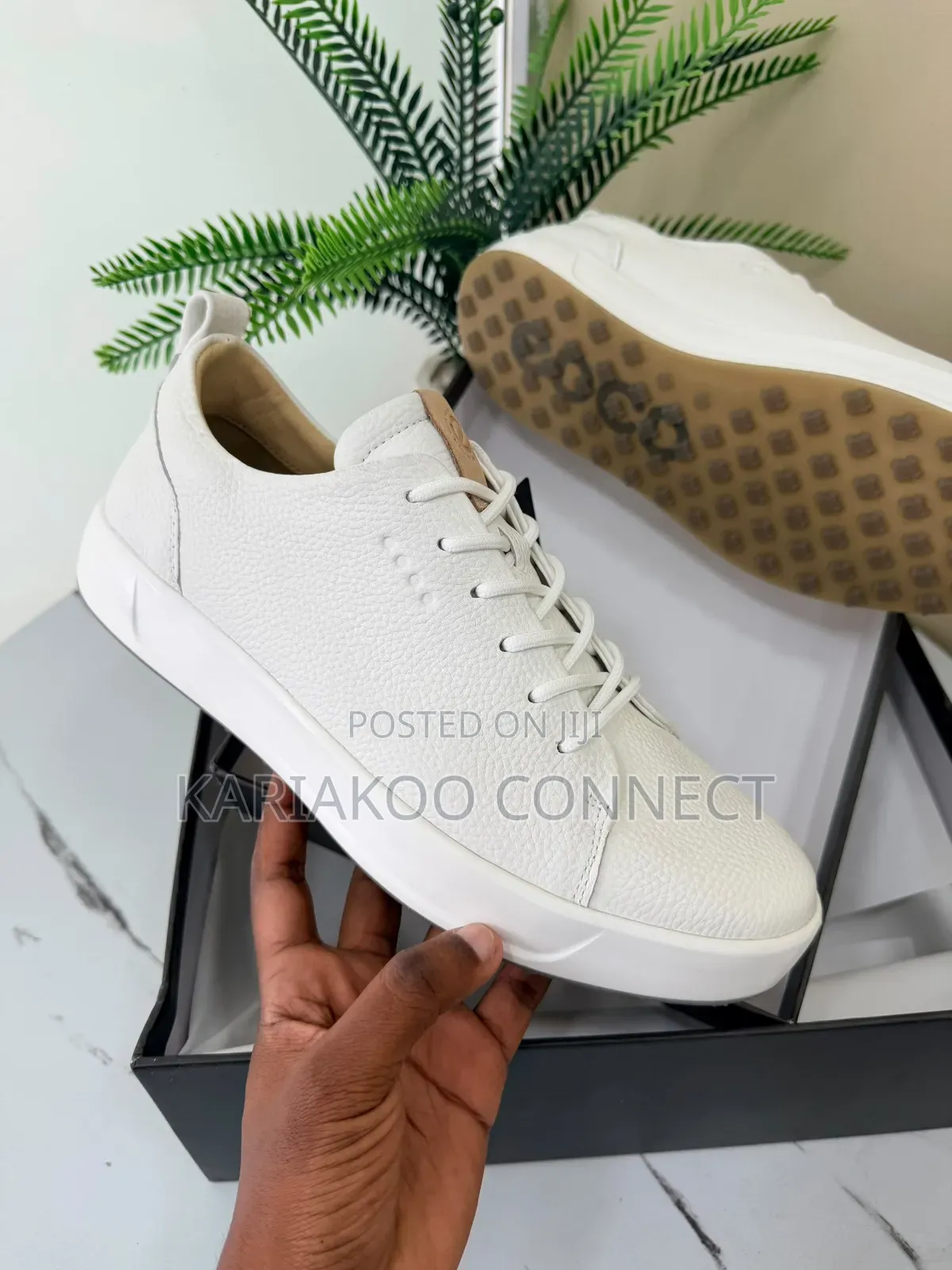 EDCD White Shoes