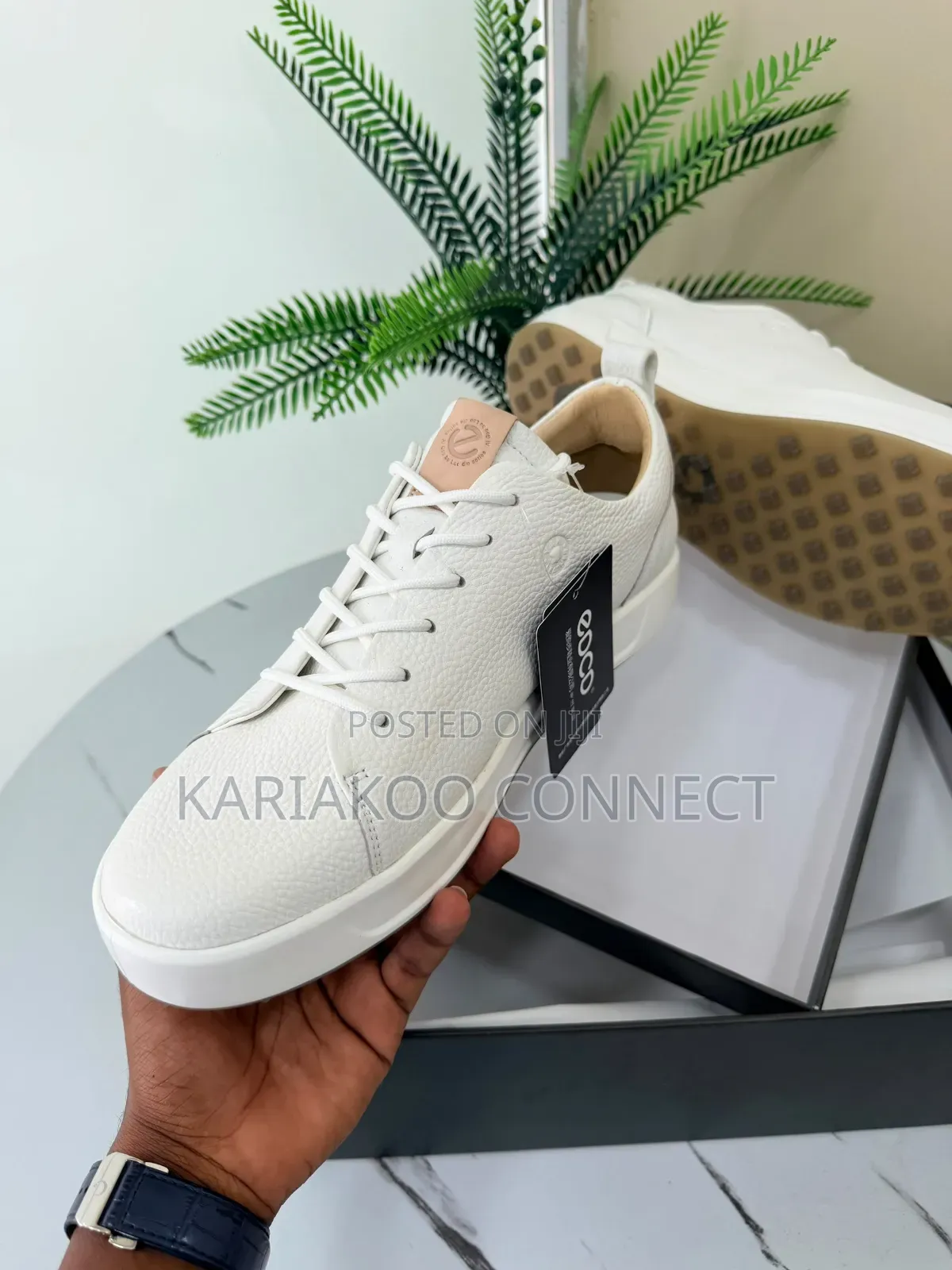 EDCD White Shoes