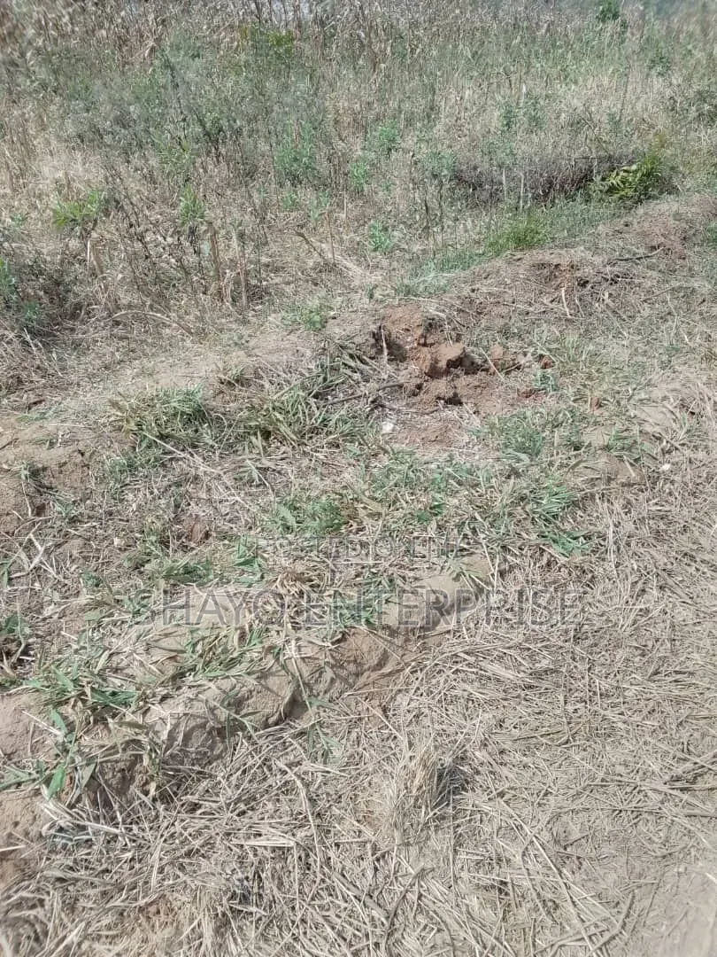 Kiwanja Kinauzwa Bei Poa Sana: