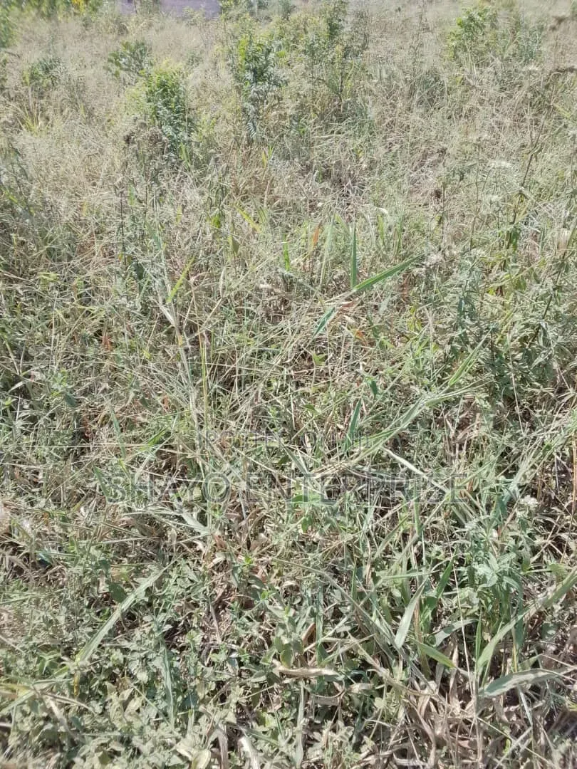 Kiwanja Kinauzwa Bei Poa Sana: