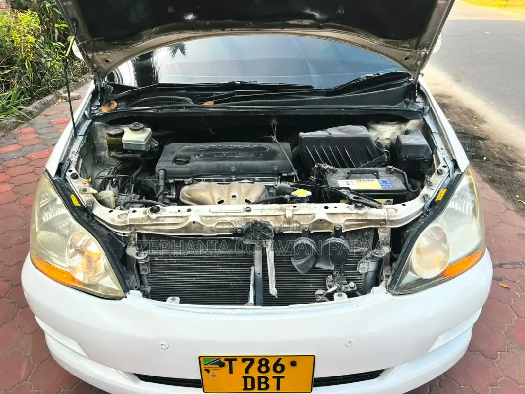 Toyota Ipsum 2004 White
