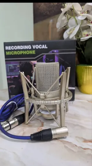 Condenser Microphone Short Neck