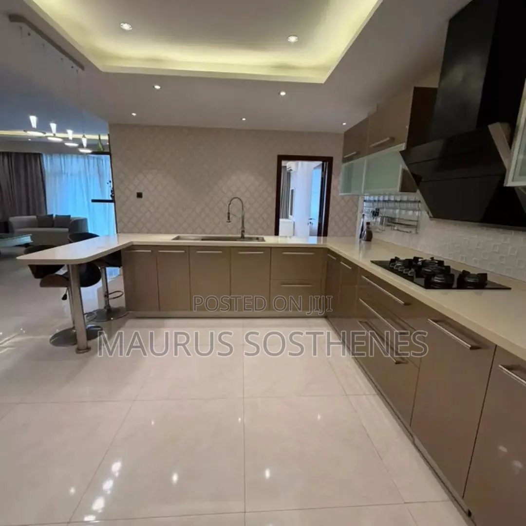 Furnished 4bdrm Apartment in Masaki for rent