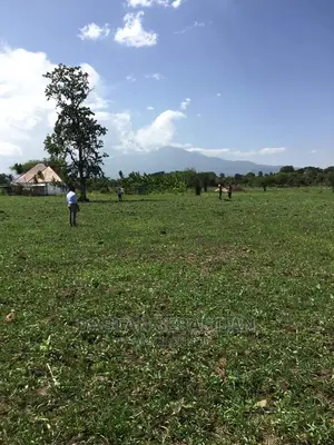 Viwanja Vilivyopimwa Na Serikali Karibu Real Kambele