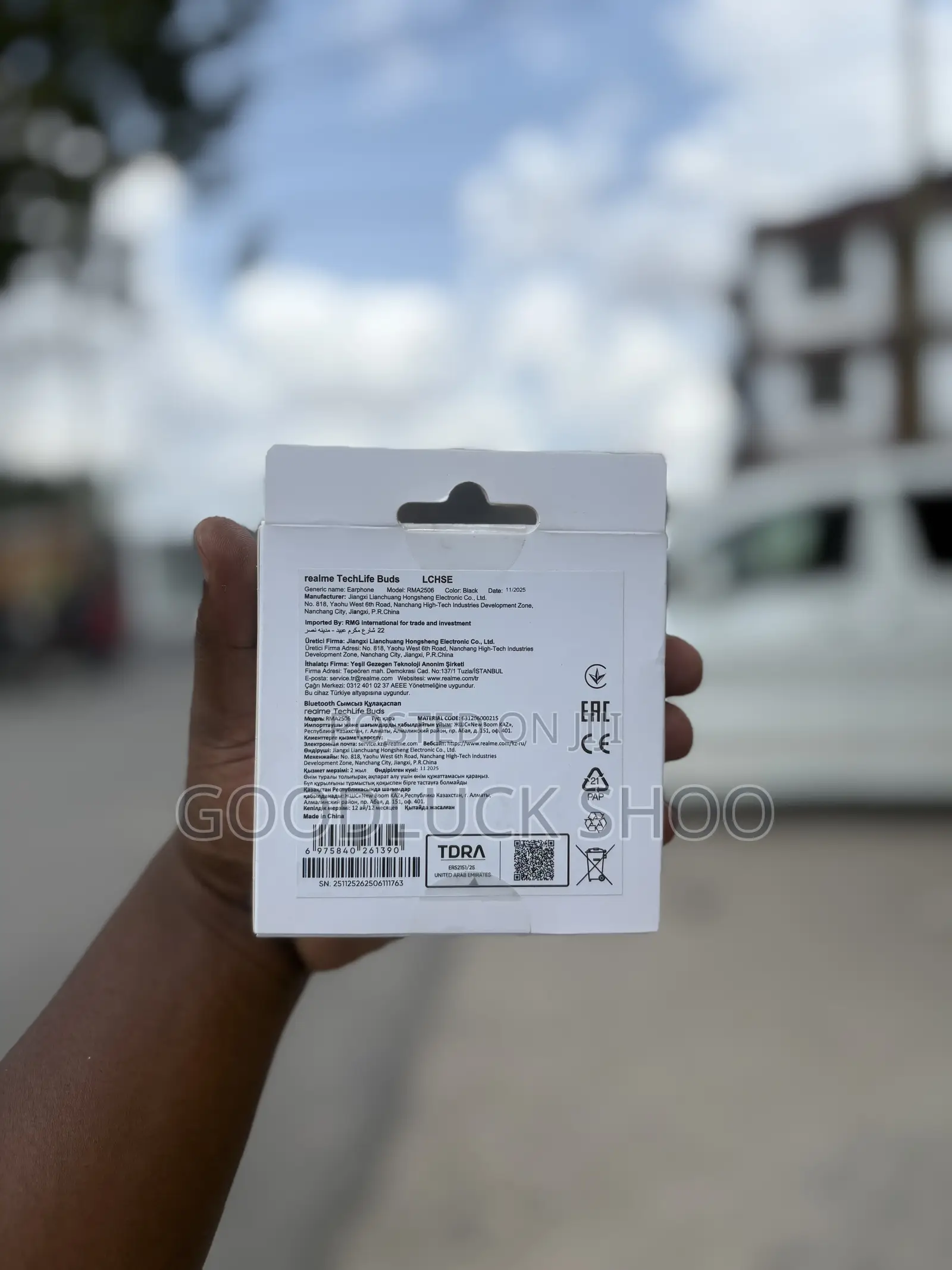 Realme TechLife Buds (Model: RMA2506)