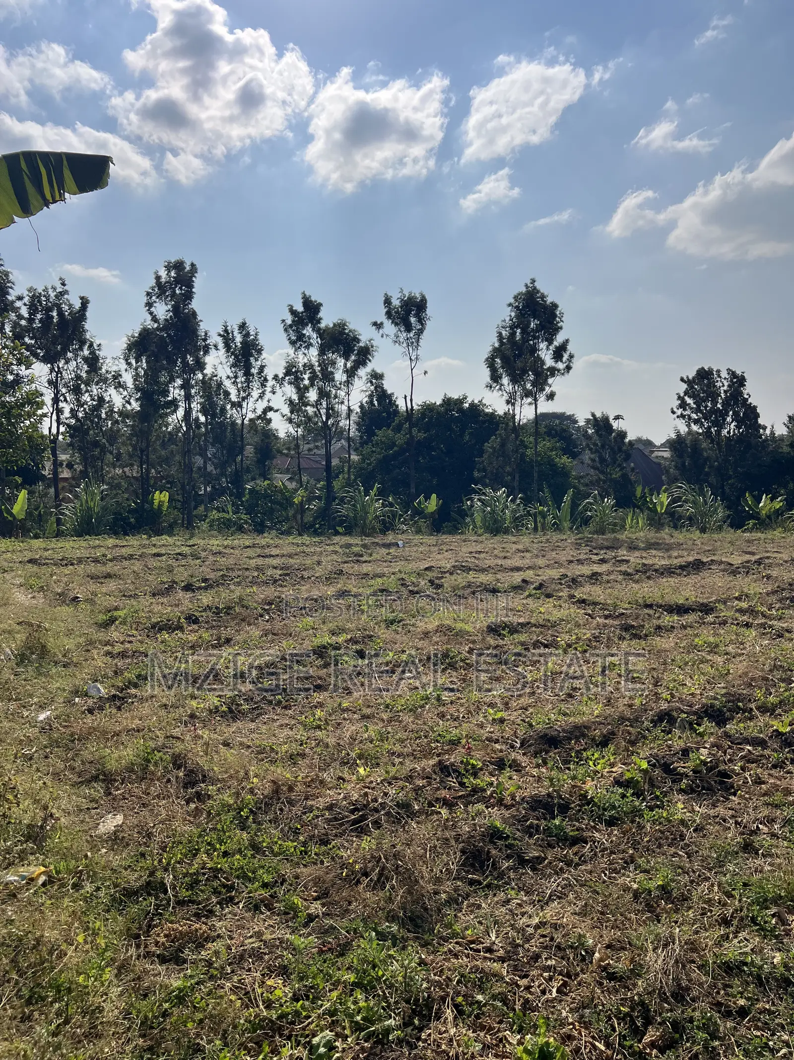 4 Acres for Sale - Uswahili, Arusha