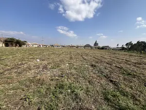 4 Acres for Sale - Uswahili, Arusha