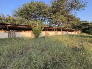 7 Acres for Sale in Kisongo, Arusha