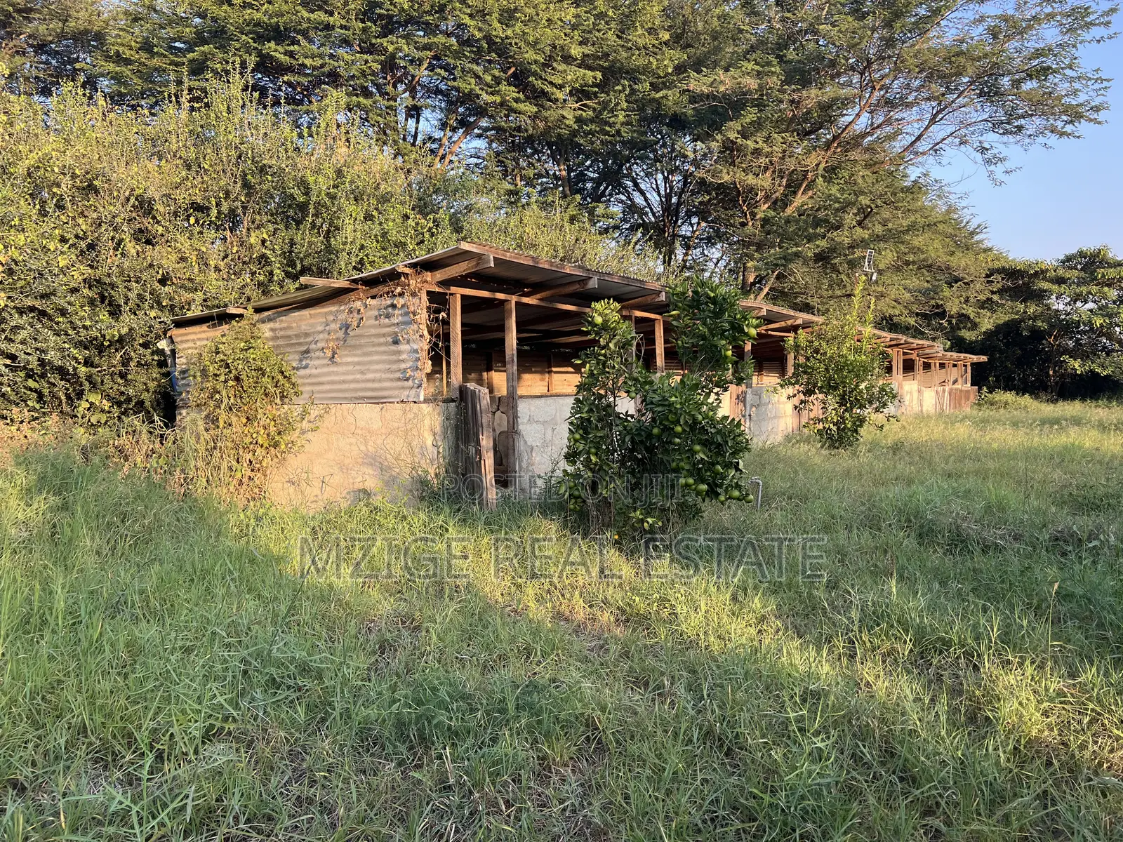 7 Acres for Sale in Kisongo, Arusha