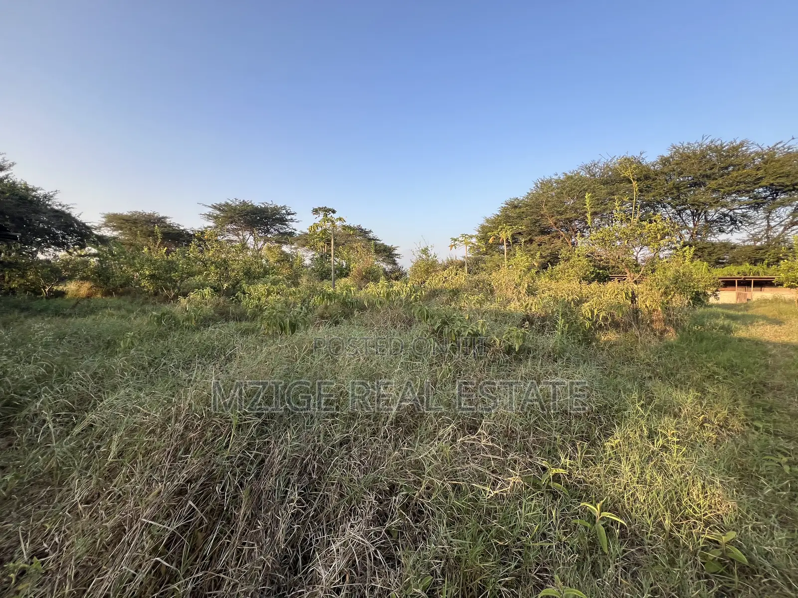 7 Acres for Sale in Kisongo, Arusha