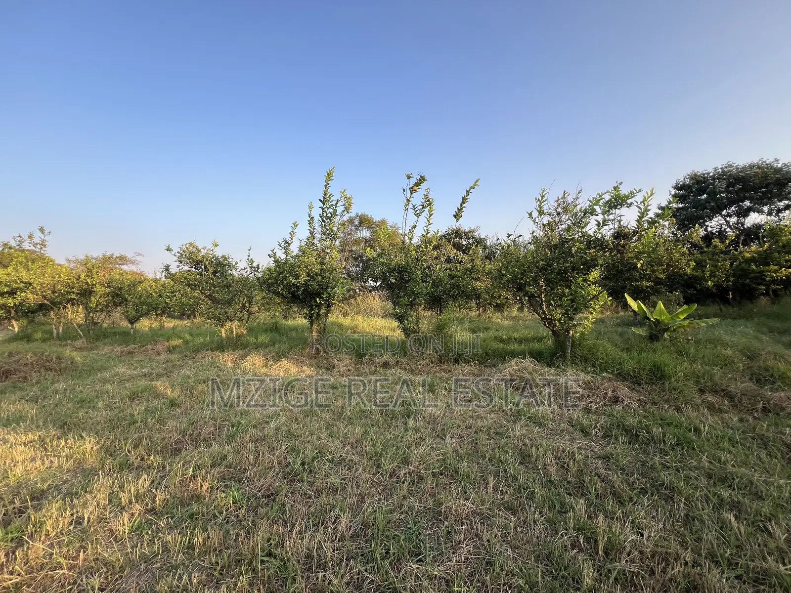 7 Acres for Sale in Kisongo, Arusha